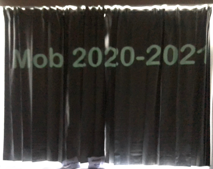 Mob 2020-2021